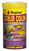 Tropical Cichlid-Color