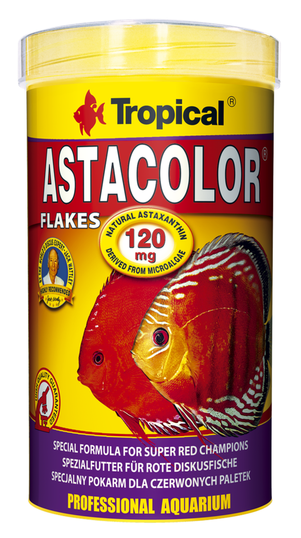 Tropical Astacolor