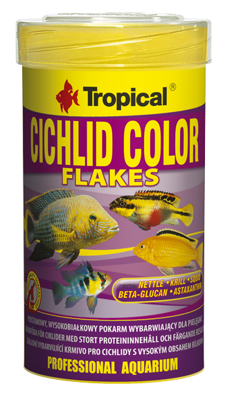 Tropical Cichlid-Color