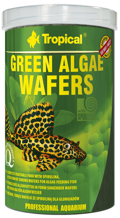 Tropical Green Algae Wafers