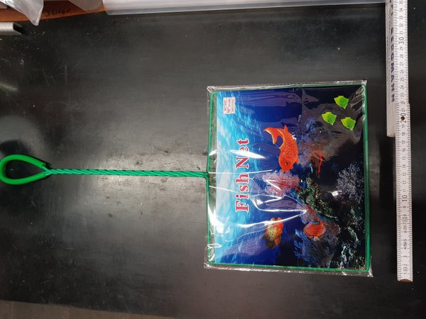 Fisch Netz/Kescher, 20cm breit